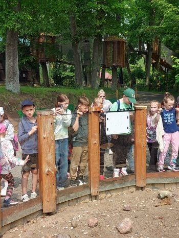 IMG-20250610-WA0029