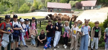 IMG-20250610-WA0043