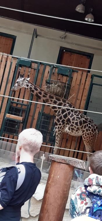 IMG-20250610-WA0068