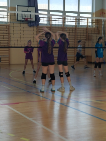 IMG20250308114449