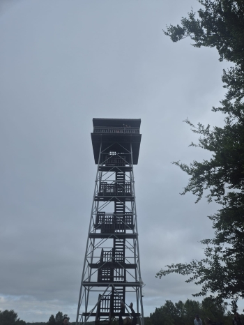 IMG-20260602-WA0018