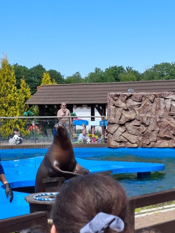 IMG-20260615-WA0010