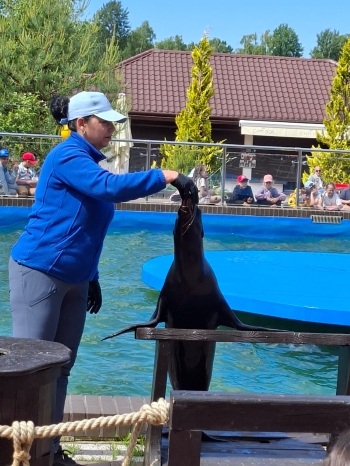 IMG-20260615-WA0016